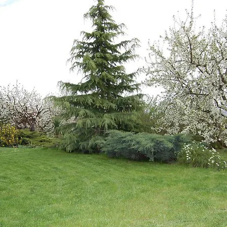 Judit Panzio Gæstehus