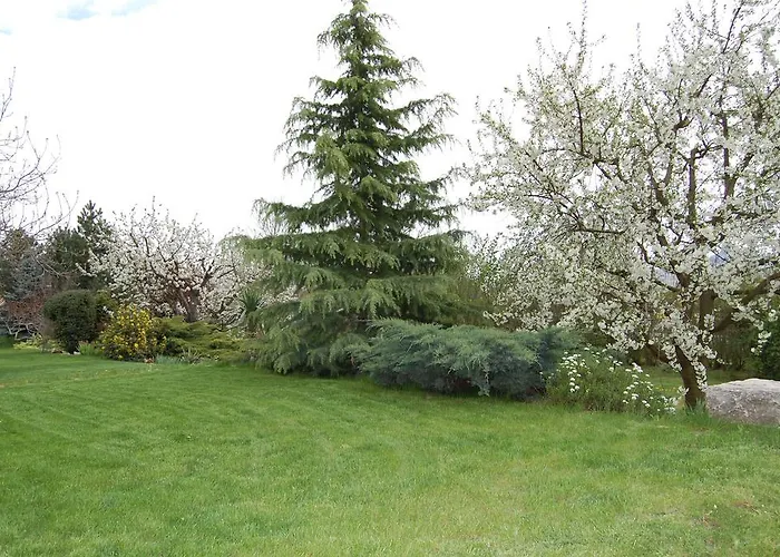 Judit Panzio Guest house