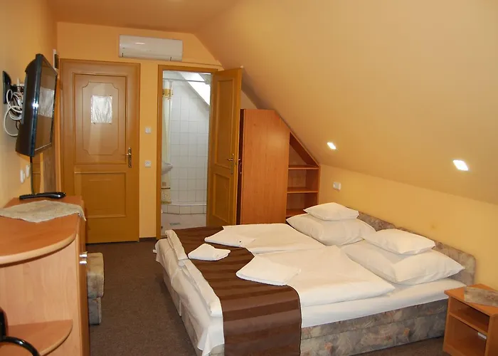 Judit Panzio Guest house 3*