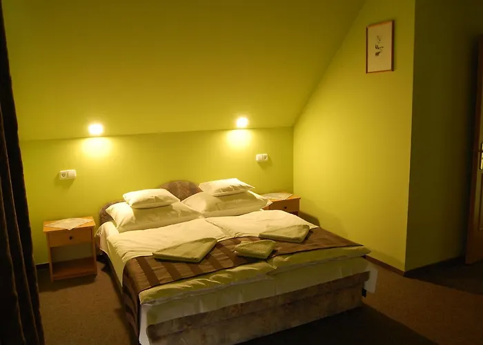 Guest house Judit Panzio 3*